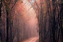 AC米兰新援立下冲冠豪言，勇夺意甲冠军