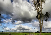 阿尔萨德在主场擒获宝山龙