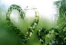 欧洲冠军之路：爱沙尼亚队遭遇挑战