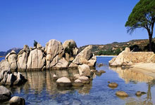 阿尔萨德在主场擒获宝山龙